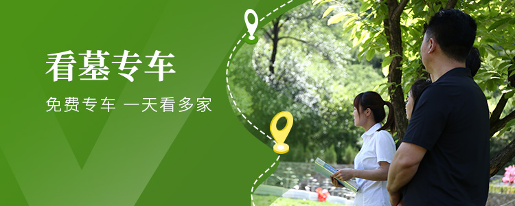 看墓专车路线