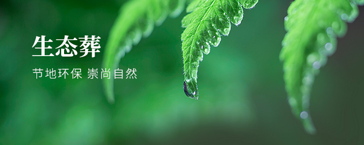 生态葬