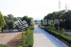 宝云岭墓园园区道路