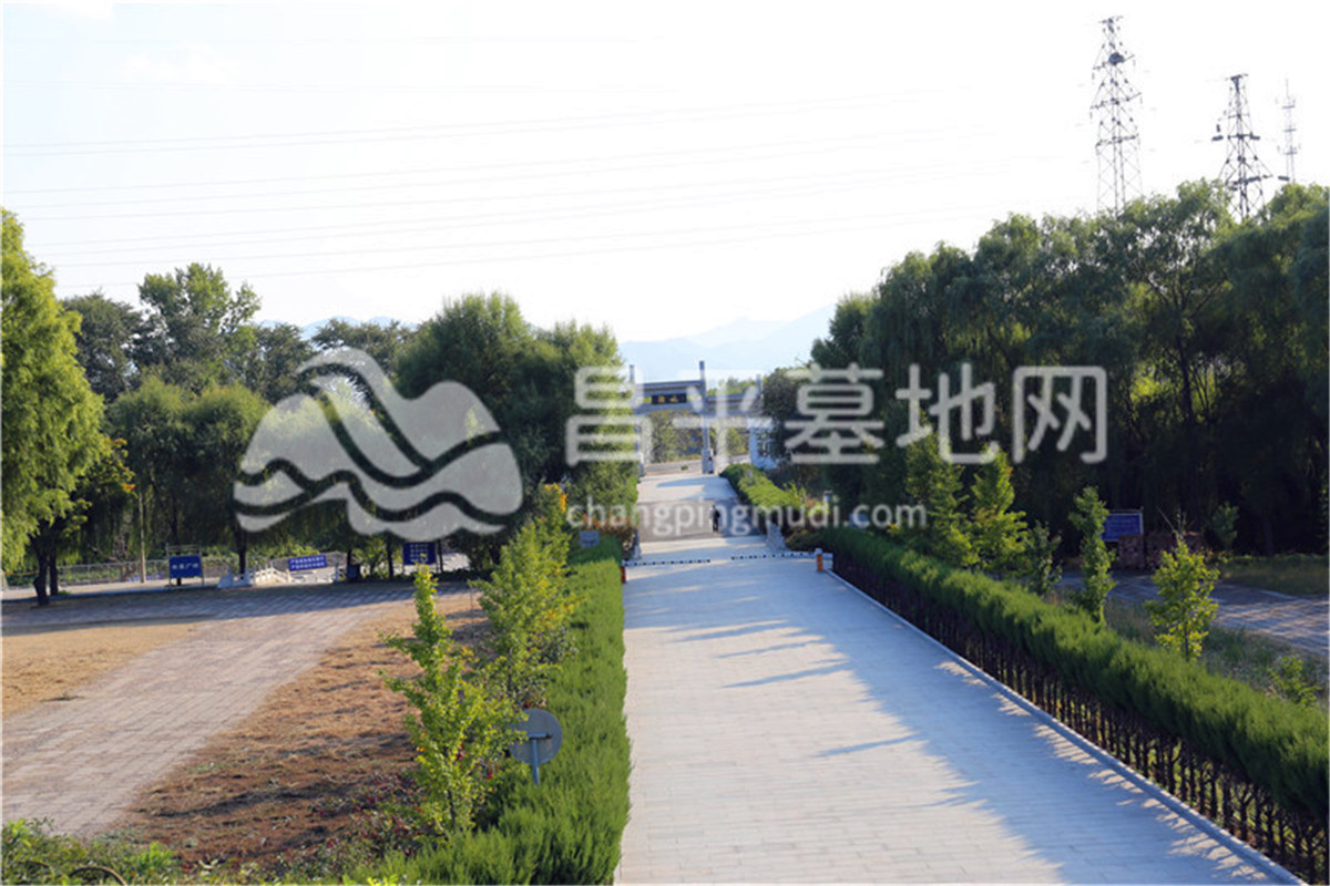 宝云岭墓园园区道路