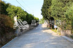 宝云岭墓园陵园主路