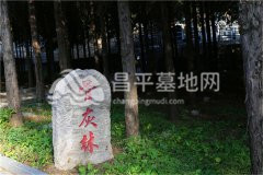 宝云岭墓园骨灰林
