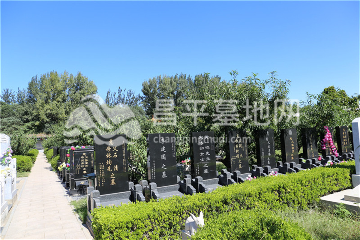 陵园墓区