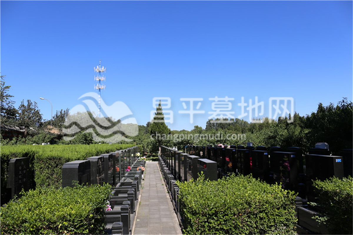 陵园墓区