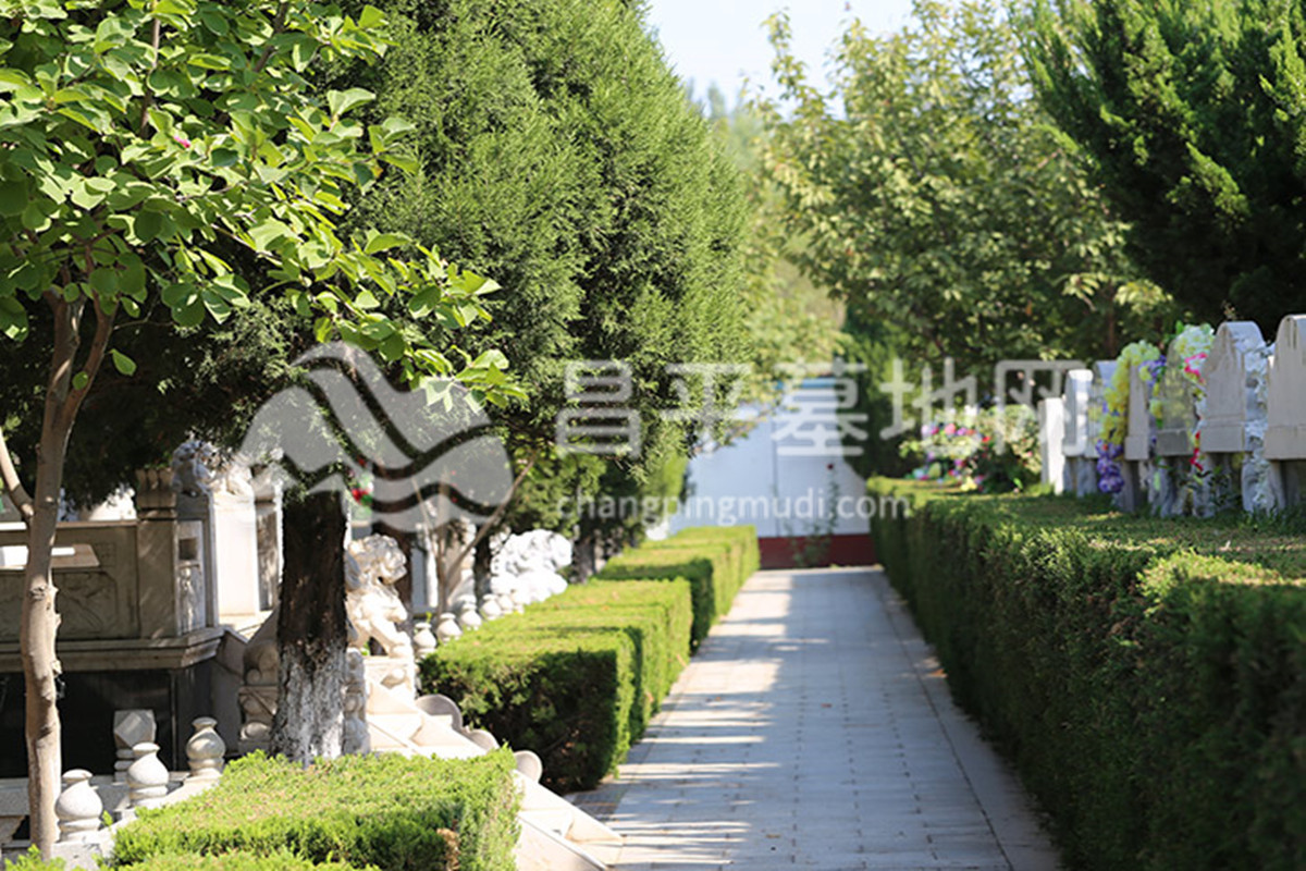 天堂公墓环境