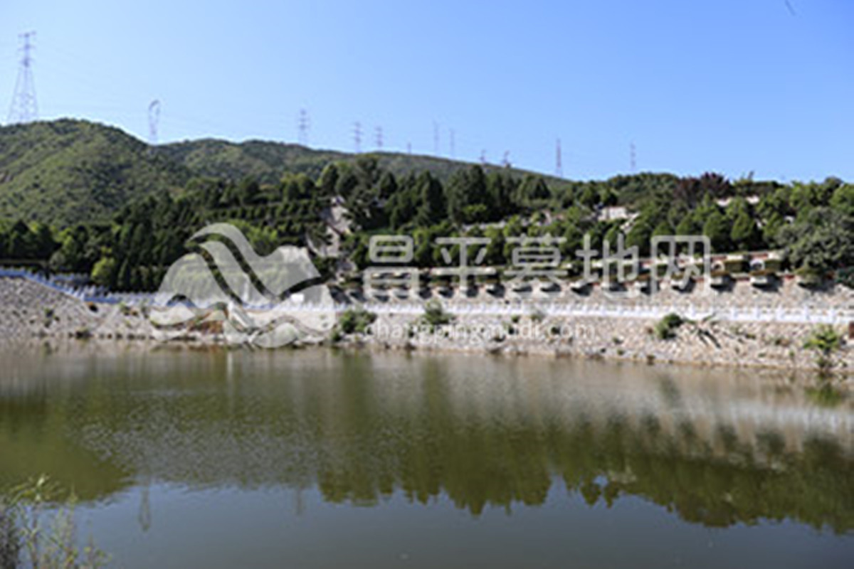 万佛华侨陵园小湖