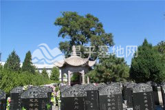 陵园墓区