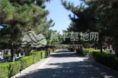 陵园主路
