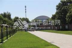 陵园主路