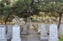 太子峪陵园墓地景观