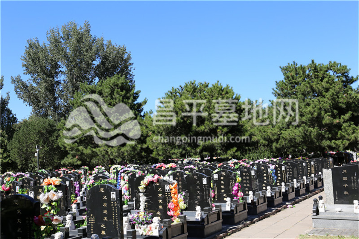 墓区景观