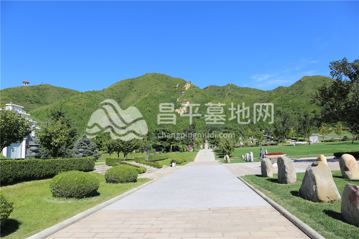天寿陵园道路