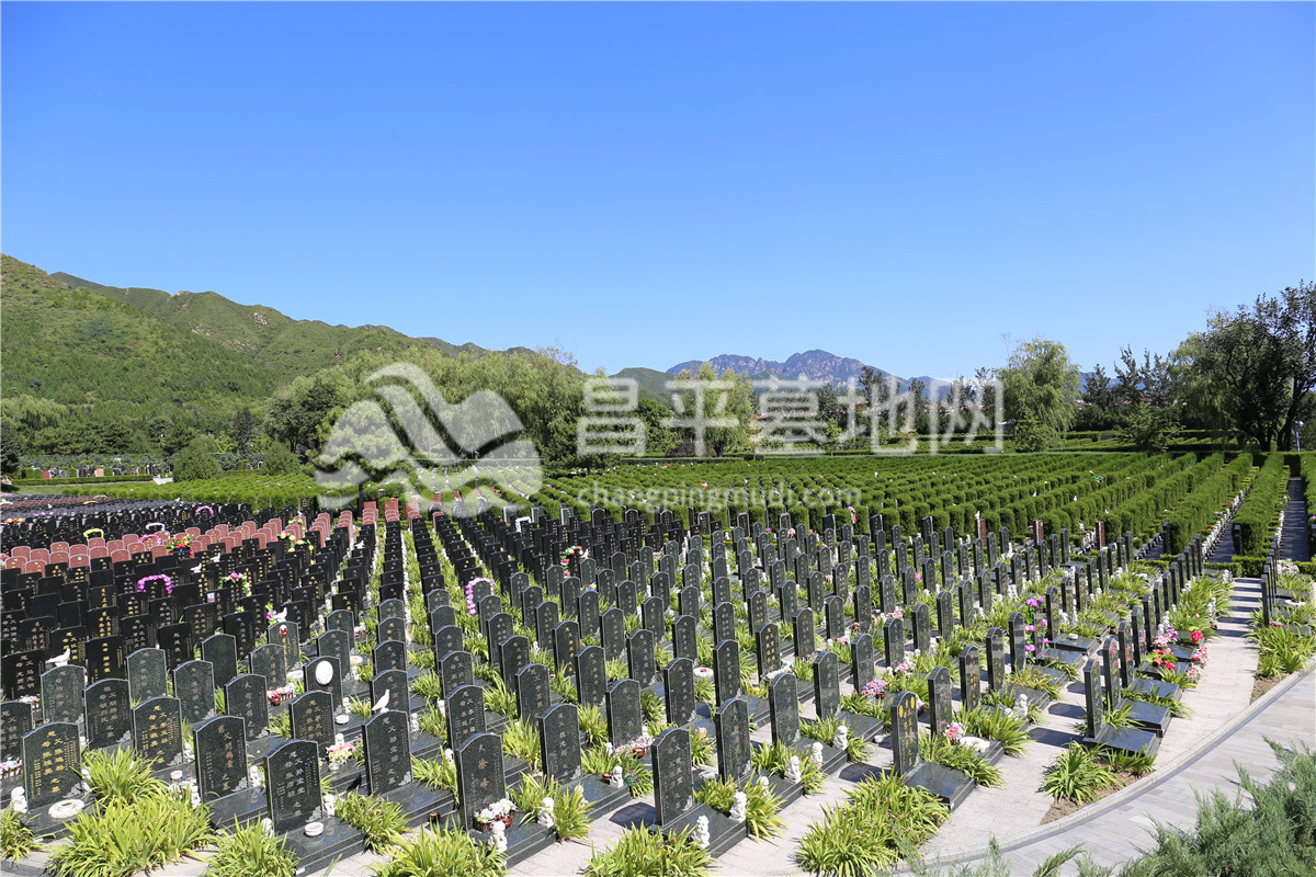 天寿陵园墓区环境