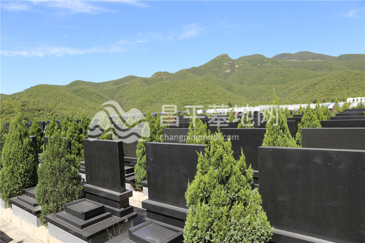 墓区环境
