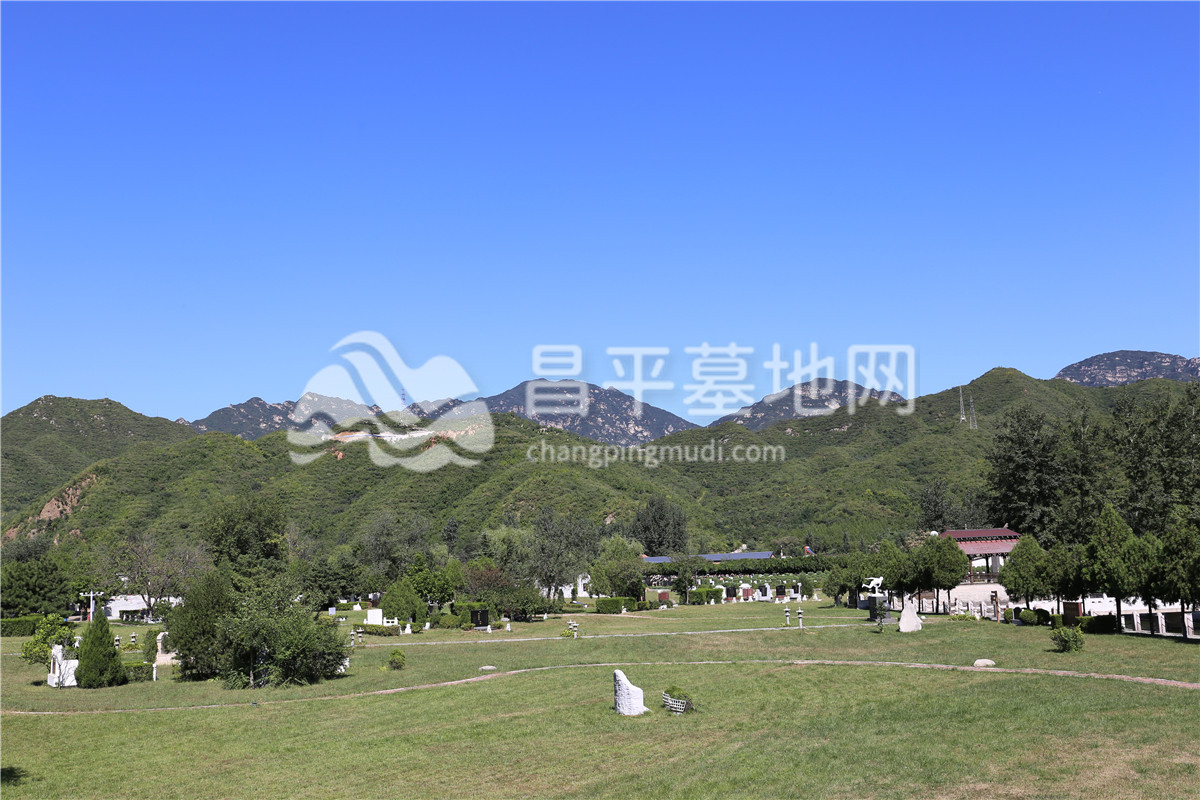 陵园绿化