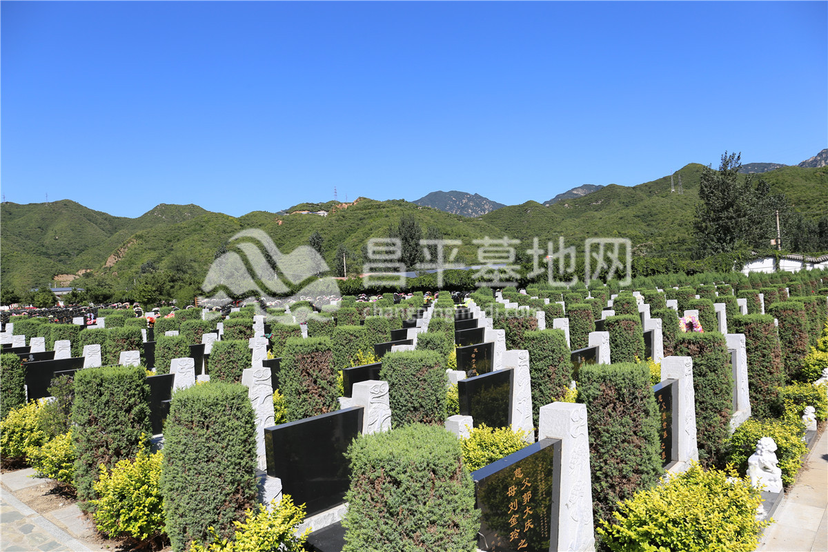 墓区环境