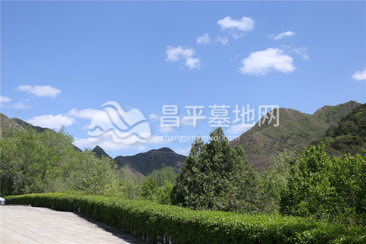 景仰园陵园园区绿化