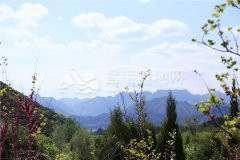 景仰园陵园周边环境