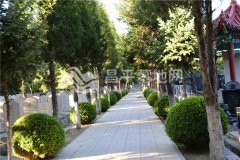 通慧陵园园区小路