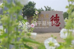 华龙皇家陵园景观