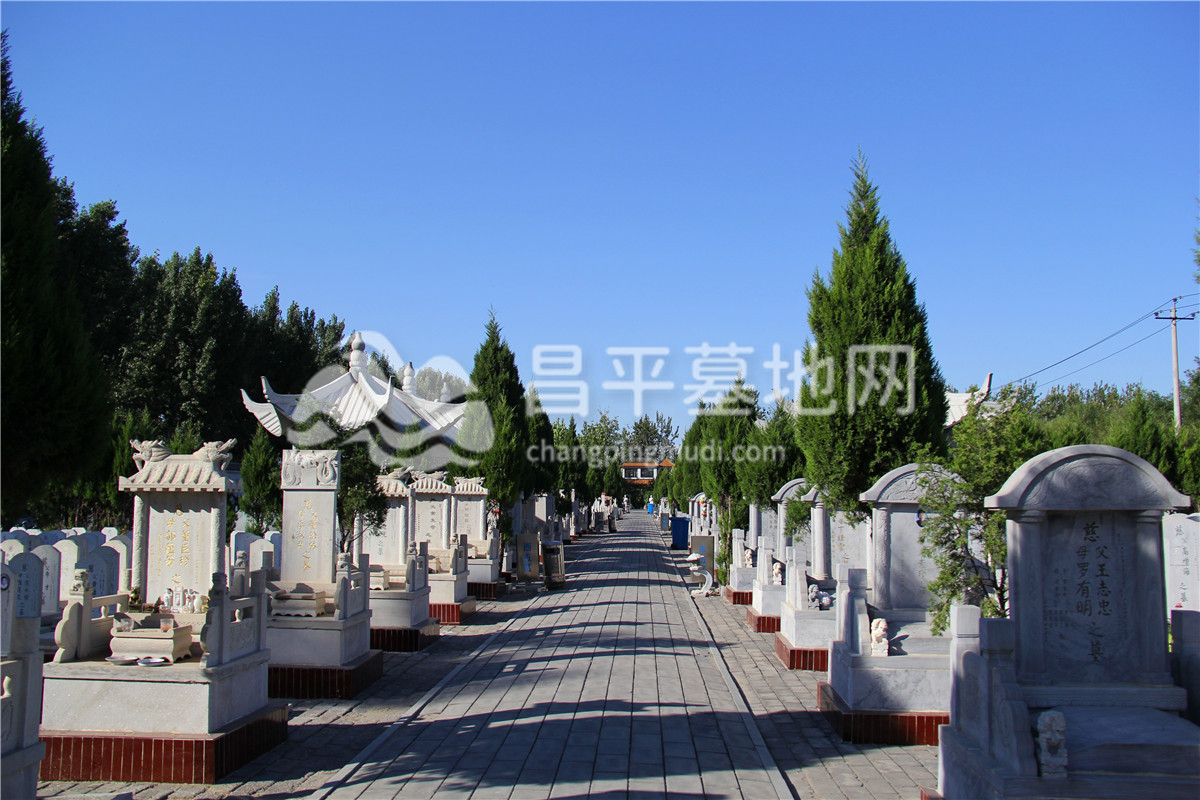 惠灵山陵园墓区道路