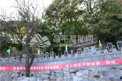金山陵园景观图