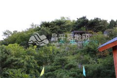 金山陵园景观