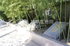 节地葬
