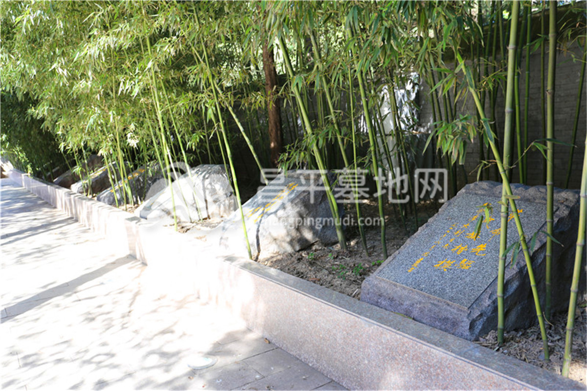 节地葬