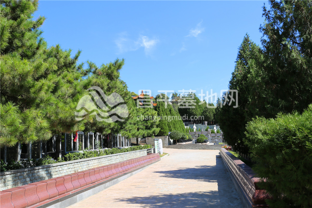 墓园环境