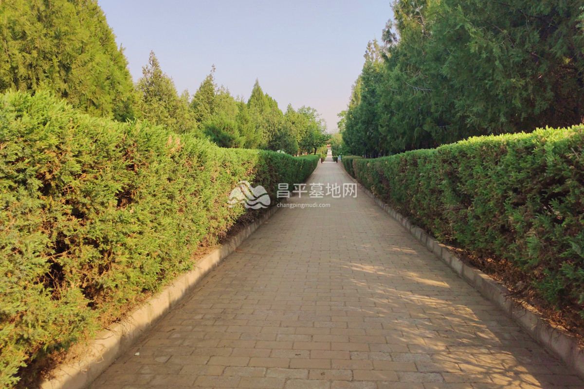 墓区道路