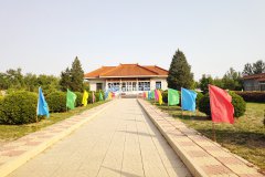 陵园道路