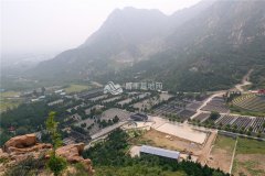 墓区环境