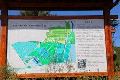平面示意图
