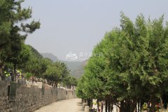 归山陵园景观