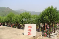 归山陵园环境