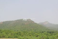 归山陵园环境