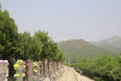 归山陵园景观