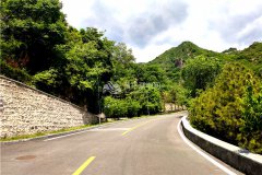 园内道路