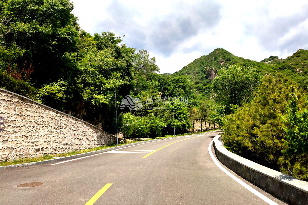 园内道路