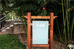 生态葬