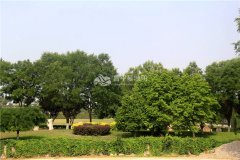 风景