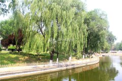 水系