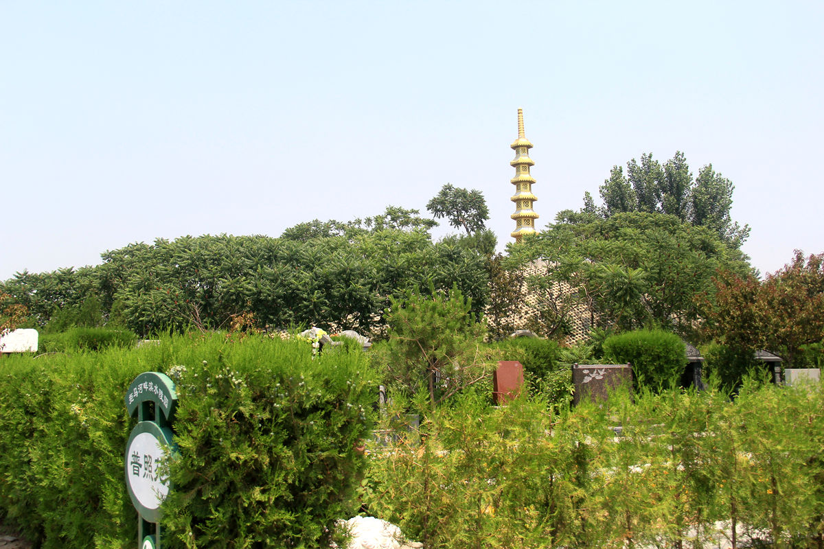绿地