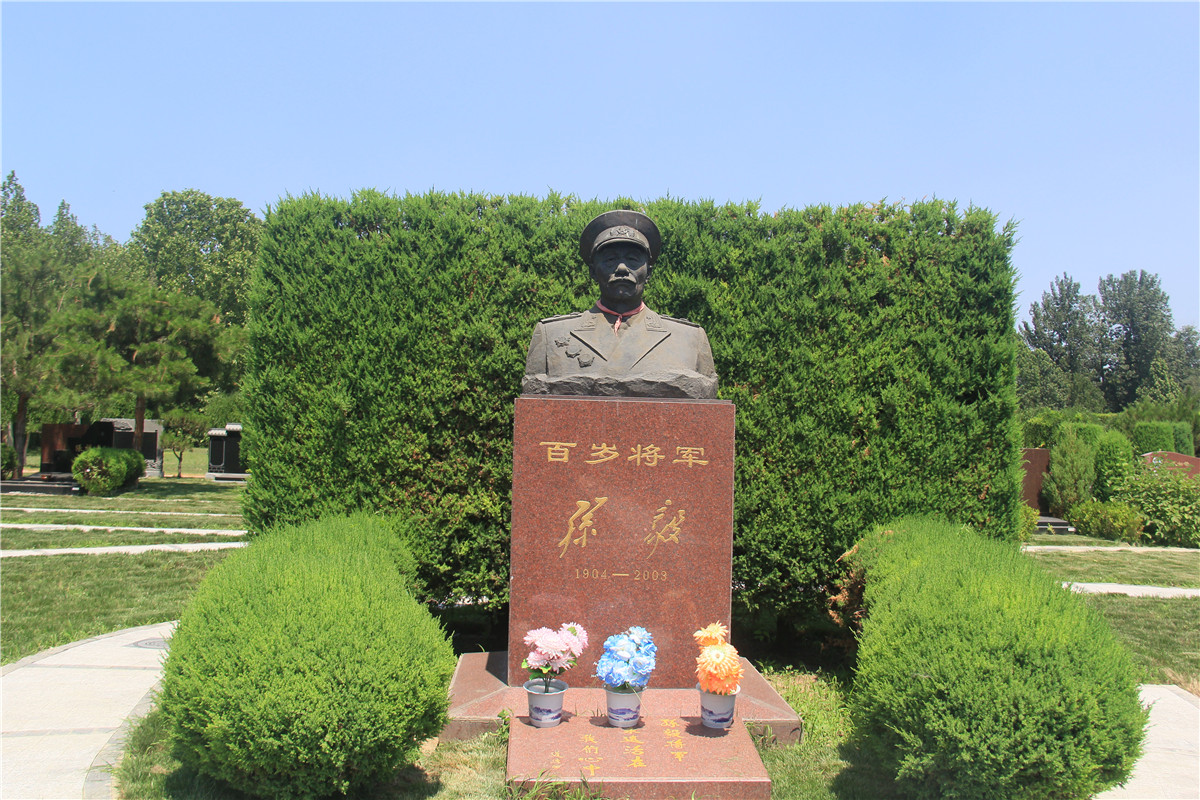 将军