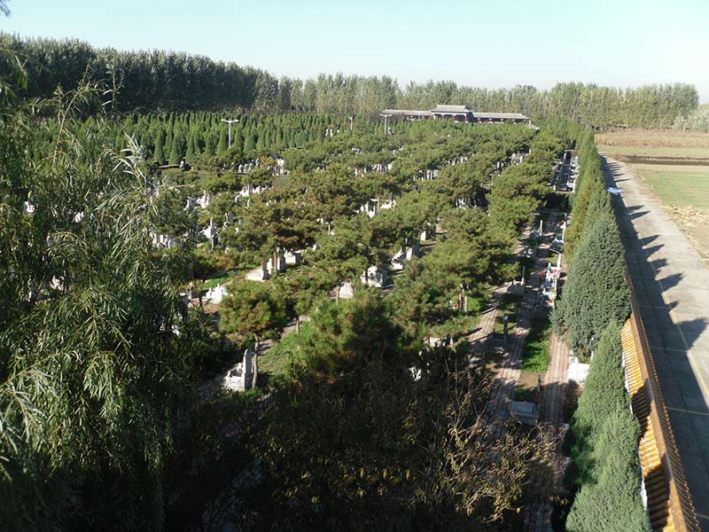 墓地风景