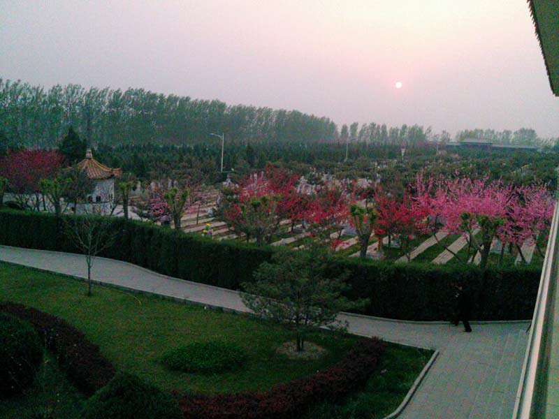 熟悉风景