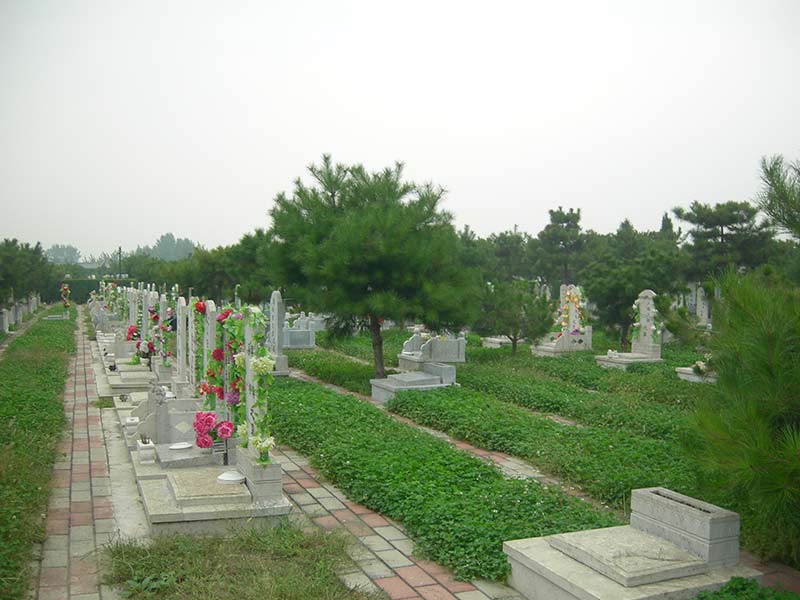 墓地一角