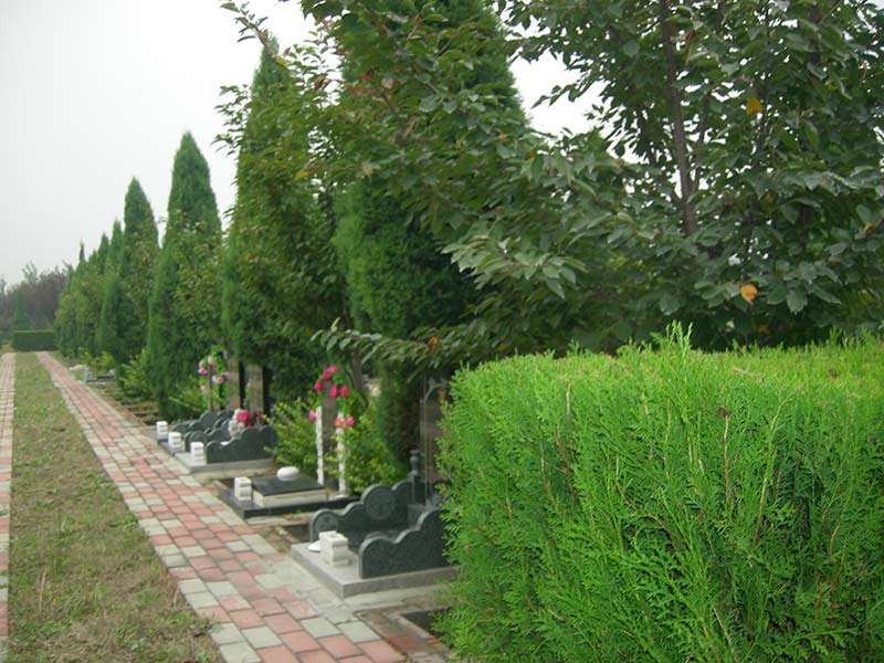 墓地一侧