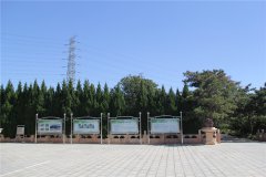 陵园一角